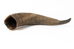 Image description is not available for 1997.1.50